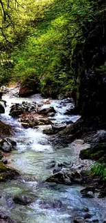 Serene forest stream with lush green surroundings for a calming phone wallpaper.