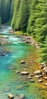 Serene stream flowing through lush green forest with clear water and rocks.