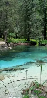 Serene turquoise stream in lush forest wallpaper.