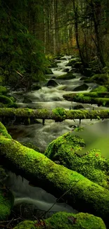 Calm forest stream with lush green surroundings and flowing water.