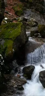 Tranquil forest stream with green moss and cascading water in nature.