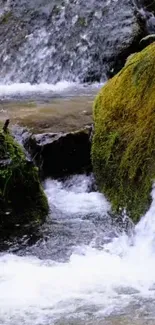 Serene forest stream with mossy rocks, creating a tranquil mobile wallpaper.