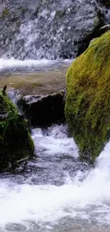 A calming forest stream with mossy rocks and flowing water in a serene setting.