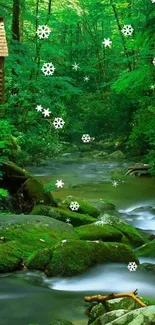 Serene forest stream with lush green surroundings and gentle flowing water.