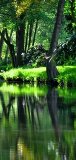 Lush green forest stream reflecting tranquility.