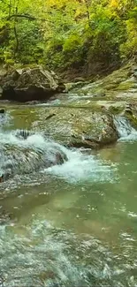 Peaceful forest stream with flowing water and lush greenery.