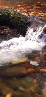 Tranquil forest stream with waterfall and autumn leaves.