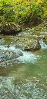 Serene forest stream with lush green surroundings and flowing water.