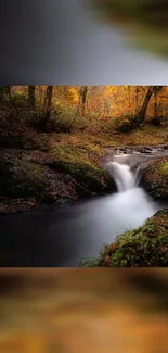 Serene forest stream during autumn with vibrant leaves.