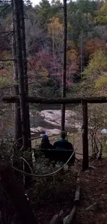 A peaceful forest swing with an autumn view.