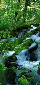 Lush forest with cascading waterfall and vibrant green foliage.