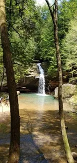 Peaceful forest waterfall with lush greenery and sunlight.