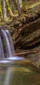 Serene forest waterfall with lush greenery and gentle water flow.