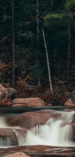 Serene forest scene with a gentle waterfall flowing over rocks.