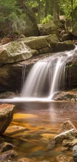 Scenic forest waterfall with lush green surroundings and rocky stream.