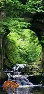 Serene forest waterfall with bright green foliage and a tranquil bear.