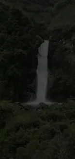 Serene waterfall cascading in dense green forest.