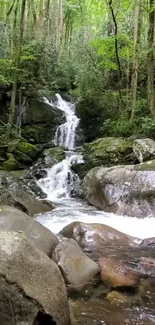 Scenic waterfall flowing through a lush green forest landscape.