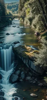 Serene waterfall in lush green forest landscape.