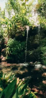 Lush forest with a tranquil waterfall cascade.