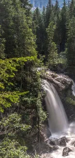 Serene forest waterfall mobile wallpaper with lush greenery.