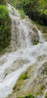 A serene forest waterfall flowing over mossy rocks with lush greenery.