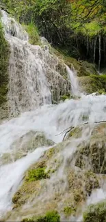 A serene waterfall flowing over mossy rocks in a lush forest setting.