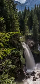 A serene waterfall in a lush forest setting.