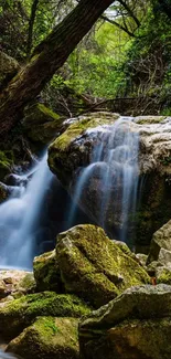 A serene waterfall in a lush green forest setting, perfect for nature lovers.