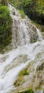 Serene waterfall in lush green forest wallpaper, perfect for nature lovers.