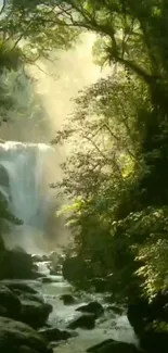 Serene waterfall with lush forest foliage in natural light.