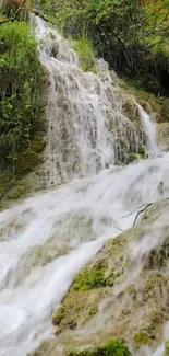 A tranquil waterfall flowing in a lush forest, offering a serene nature scene.