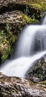 Tranquil forest waterfall flowing over rocks.