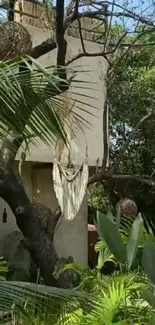 Serene garden with hammock and greenery.