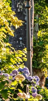 Lush garden with lampposts and flowers under evening light.