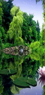 Mobile wallpaper of a serene green forest reflection with water lilies.