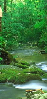 Lush green forest stream with rustic cabin.