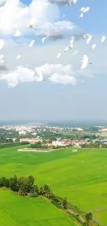 Serene landscape with green fields and flying birds under clouds.