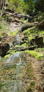 Waterfall cascading over lush green rocks in a serene forest setting.