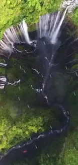 Aerial view of a lush green waterfall surrounded by dense foliage.