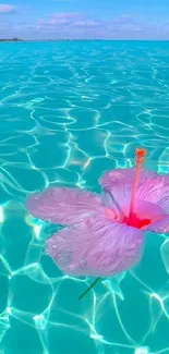 Hibiscus floating on turquoise ocean with clear sky.