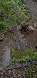 Japanese garden with stone path and greenery, perfect for tranquility.