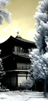 Japanese temple with frosty trees and golden sky wallpaper.