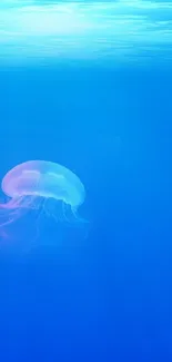 A serene jellyfish floats in a vibrant blue ocean, creating a calming mobile wallpaper.