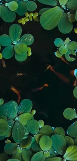 Koi fish swimming below floating leaves in a peaceful pond.