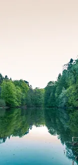 Peaceful lake with lush forest and rocky formations in serene nature setting.