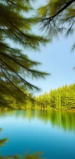 Peaceful lake surrounded by lush forests under a clear sky.