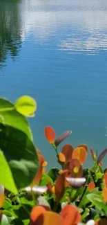 Mobile wallpaper with tranquil lake and leaves.