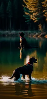 Two dogs by a serene forest lake at golden hour.