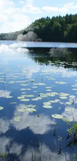 Serene lake and forest view with clear blue skies and lush greenery.